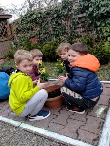 IMG20230324104944